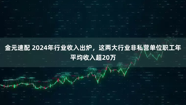 金元速配 2024年行业收入出炉，这两大行业非私营单位职工年平均收入超20万