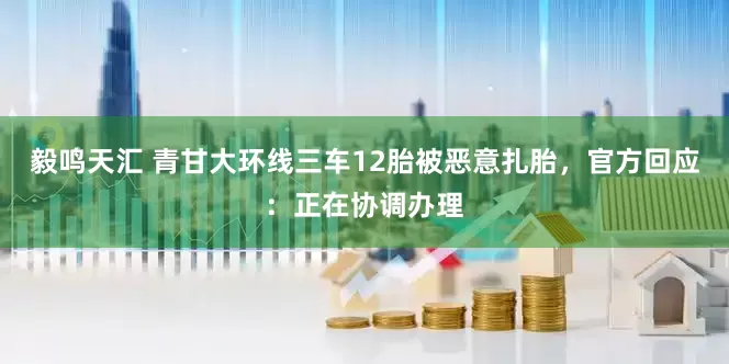 毅鸣天汇 青甘大环线三车12胎被恶意扎胎，官方回应：正在协调办理