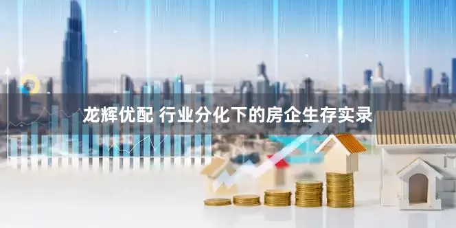 龙辉优配 行业分化下的房企生存实录