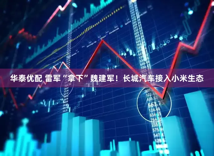 华泰优配 雷军“拿下”魏建军！长城汽车接入小米生态